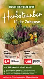 Thomas Philipps Prospekt woche 41 Seite 4