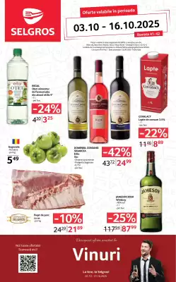Catalog Selgros (valid până la 16-10)