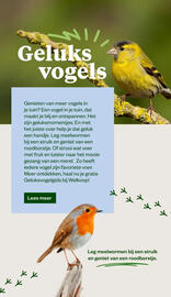 Welkoop folder Pagina 6