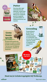 Welkoop folder Pagina 7