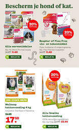 Welkoop folder Pagina 8