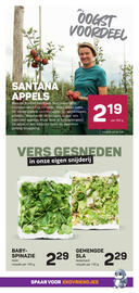 Ekoplaza folder week 41 Pagina 13