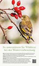 Pflanzen Kölle Prospekt woche 41 Seite 15