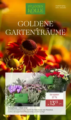 Pflanzen Kölle Prospekt (gültig bis 12-10)