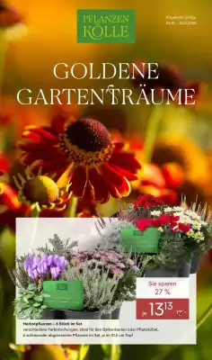 Pflanzen Kölle Prospekt (gültig bis 12-10)