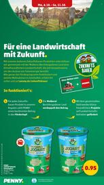 PENNY Prospekt woche 41 Seite 14