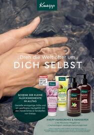 Rossmann Prospekt Seite 40