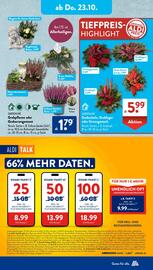 Aldi Süd Prospekt woche 43 Seite 10