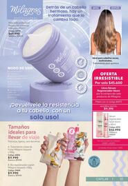 Catálogo Nova Venta Página 55