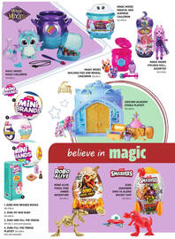 Canadian Tire flyer Page 19
