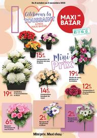 Catalogue Maxi Bazar page 1