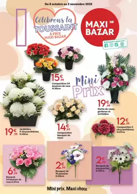 Catalogue Maxi Bazar (valable jusqu'au 2-11)