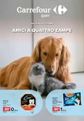 Volantino Carrefour (valido fino al 26-10)