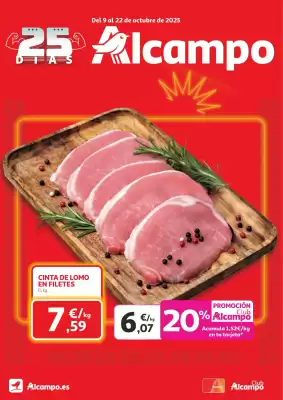 Folleto Alcampo
