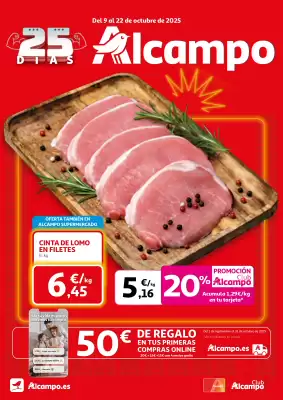 Folleto Alcampo (válido hasta el 22-10)