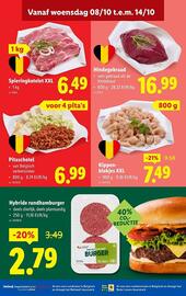 Lidl folder week 41 Pagina 13