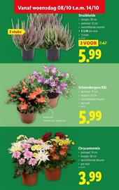 Lidl folder week 41 Pagina 19