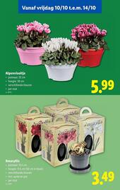 Lidl folder week 41 Pagina 54