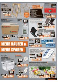 V Baumarkt Prospekt woche 41 Seite 3