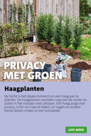 Intratuin folder week 41 Pagina 6