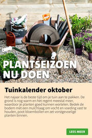Intratuin folder week 41 Pagina 9