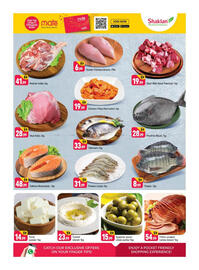 Shaklan leaflet Page 3