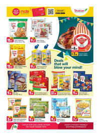 Shaklan leaflet Page 4