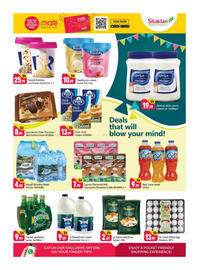 Shaklan leaflet Page 5