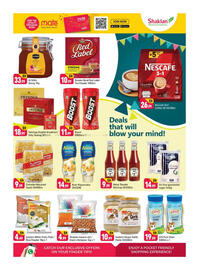 Shaklan leaflet Page 8