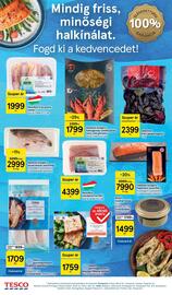 Tesco akciós újság hét 41 Oldal 20