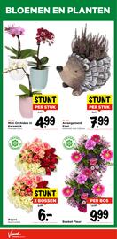 Vomar Voordeelmarkt folder week 41 Pagina 31