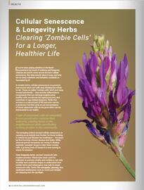 Wellness Warehouse catalogue Page 48