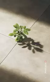 Catálogo Interceramic Página 7