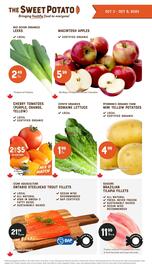 The Sweet Potato flyer Page 4