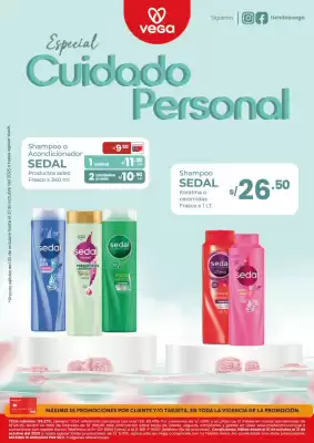 Catálogo Vega (válido hasta 31-10)