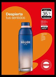 Catálogo Natura Página 33