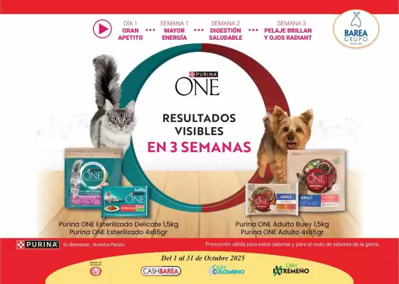 Catálogo Cash Barea (válido hasta el 31-10)