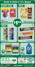 Dollar Tree flyer Page 10