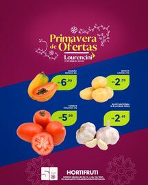 Catálogo Lourencini Supermercados Página 2