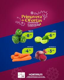 Catálogo Lourencini Supermercados Página 3