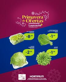 Catálogo Lourencini Supermercados Página 4