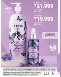 Catálogo Carmel Página 161