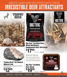 Cabela's weekly ad Page 51