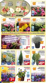 CENTERSHOP Prospekt woche 41 Seite 6