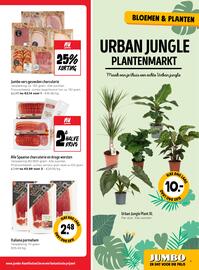Jumbo folder week 41 Pagina 5