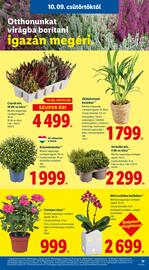 Lidl akciós újság hét 41 Oldal 17