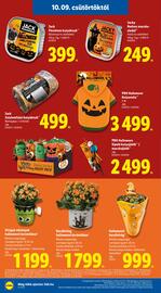 Lidl akciós újság hét 41 Oldal 22