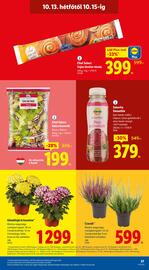 Lidl akciós újság hét 41 Oldal 57
