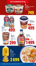 Lidl akciós újság hét 41 Oldal 61