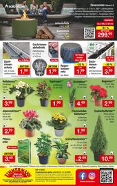 Zimmermann Prospekt woche 41 Seite 10